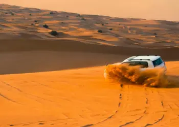 Morning Desert Safari