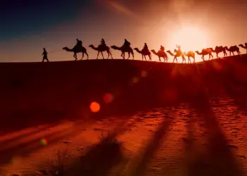 Evening Desert Safari