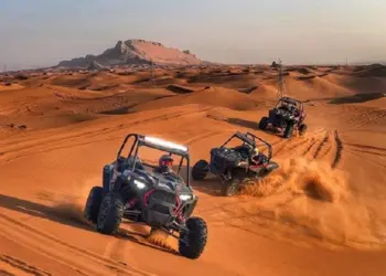 Morning Adventure: Polaris Dune Buggy Ride
